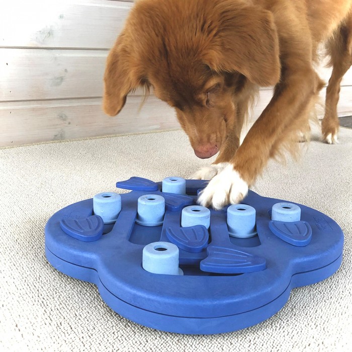 Dog Hide N'Side Composite