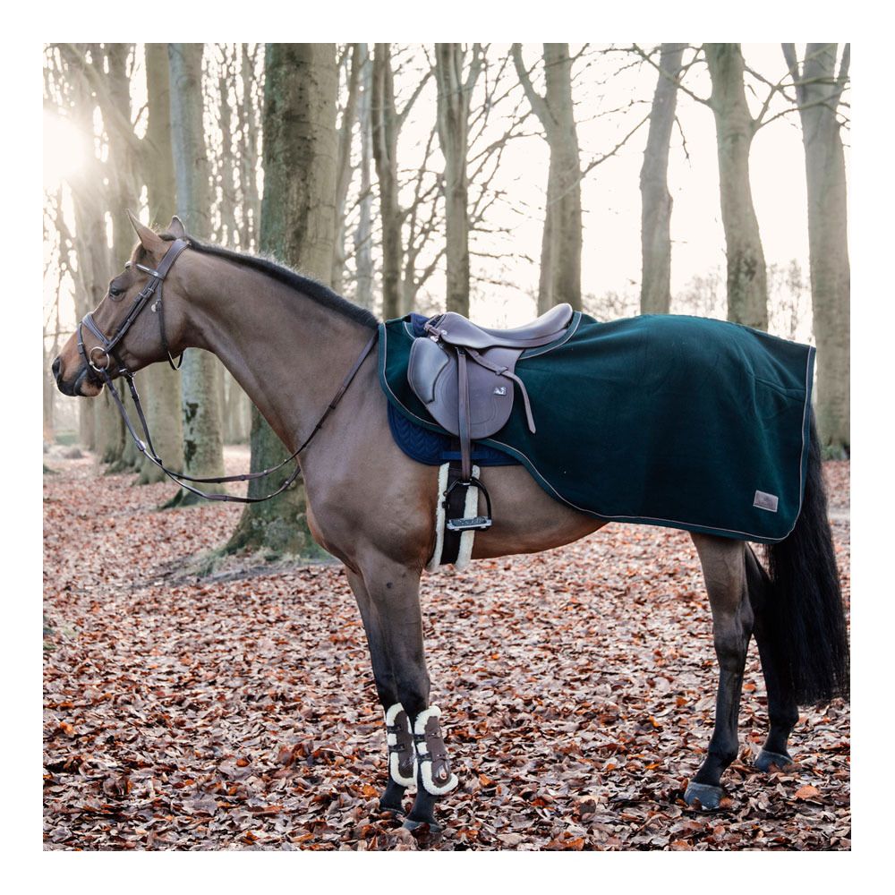 Kentucky HEAVY FLEECE - Couvre-reins pine green