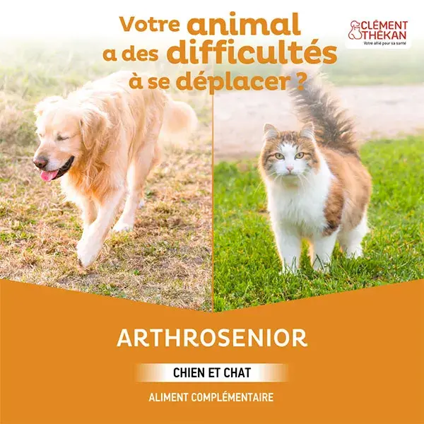 Clement Thekan Arthrosenior Mobilidade Articular Canina 60 Comprimidos