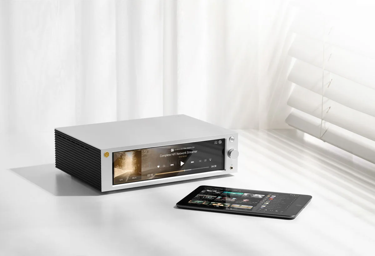 Rose RS250A Silver Lecteurs réseau audio