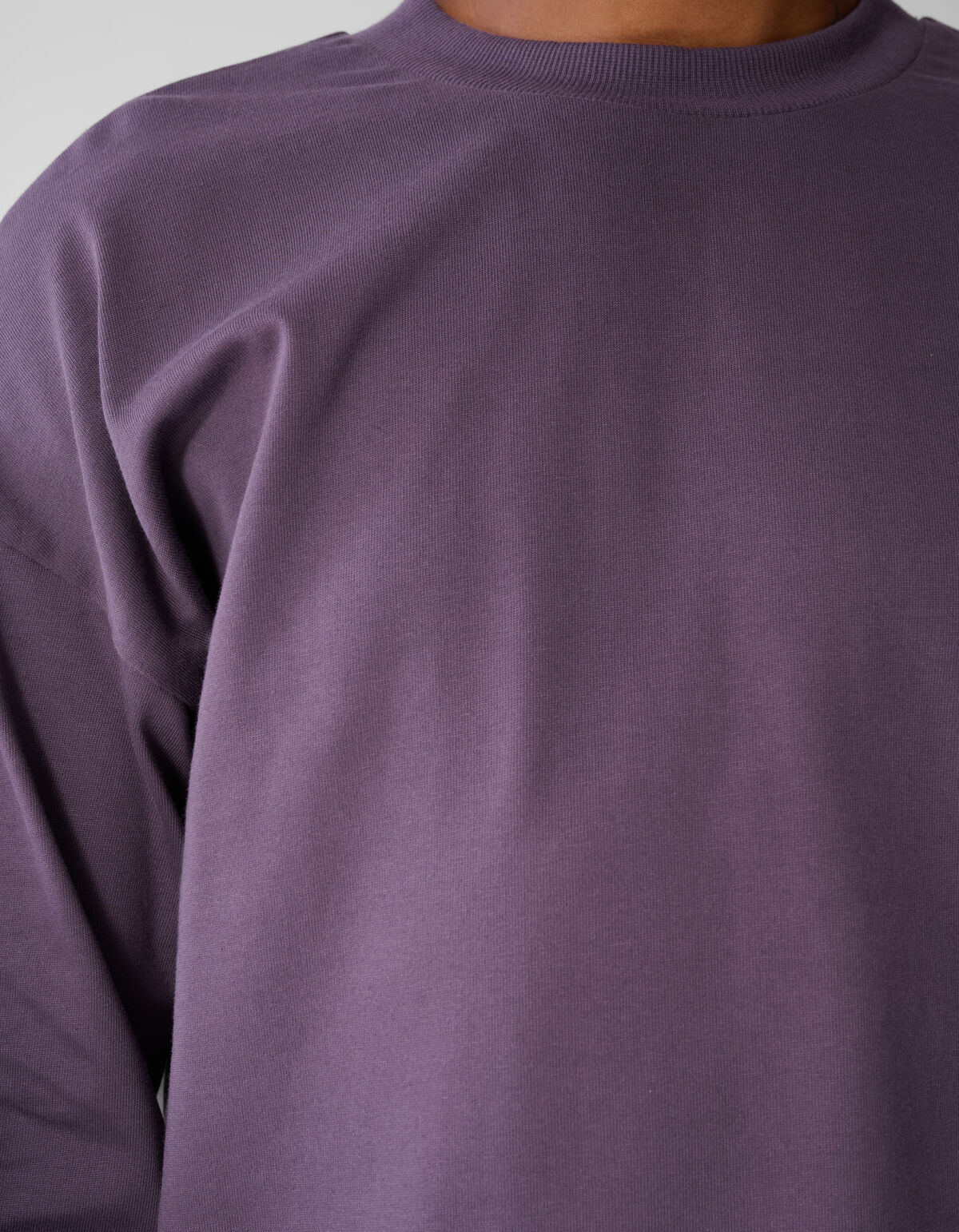 Basis Relaxed Fit Longsleeve Paars
