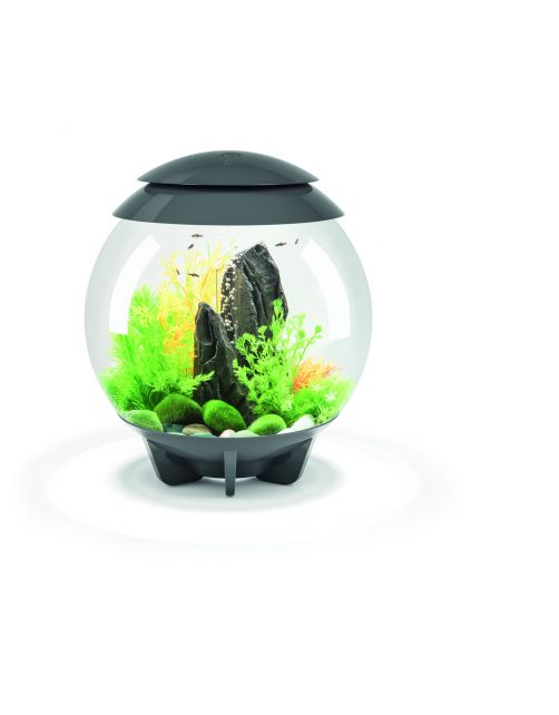 Biorb Aquarium Halo 30 Mcr - Aquaria - 30 l Grijs