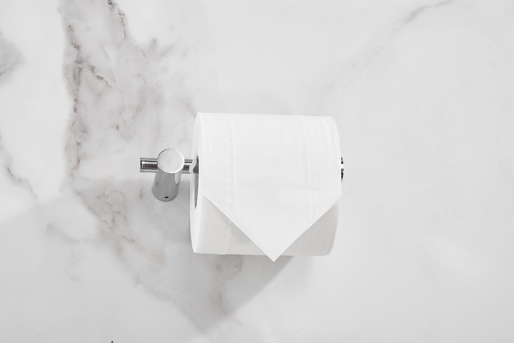 Saniclear Academy toilet rolhouder chroom
