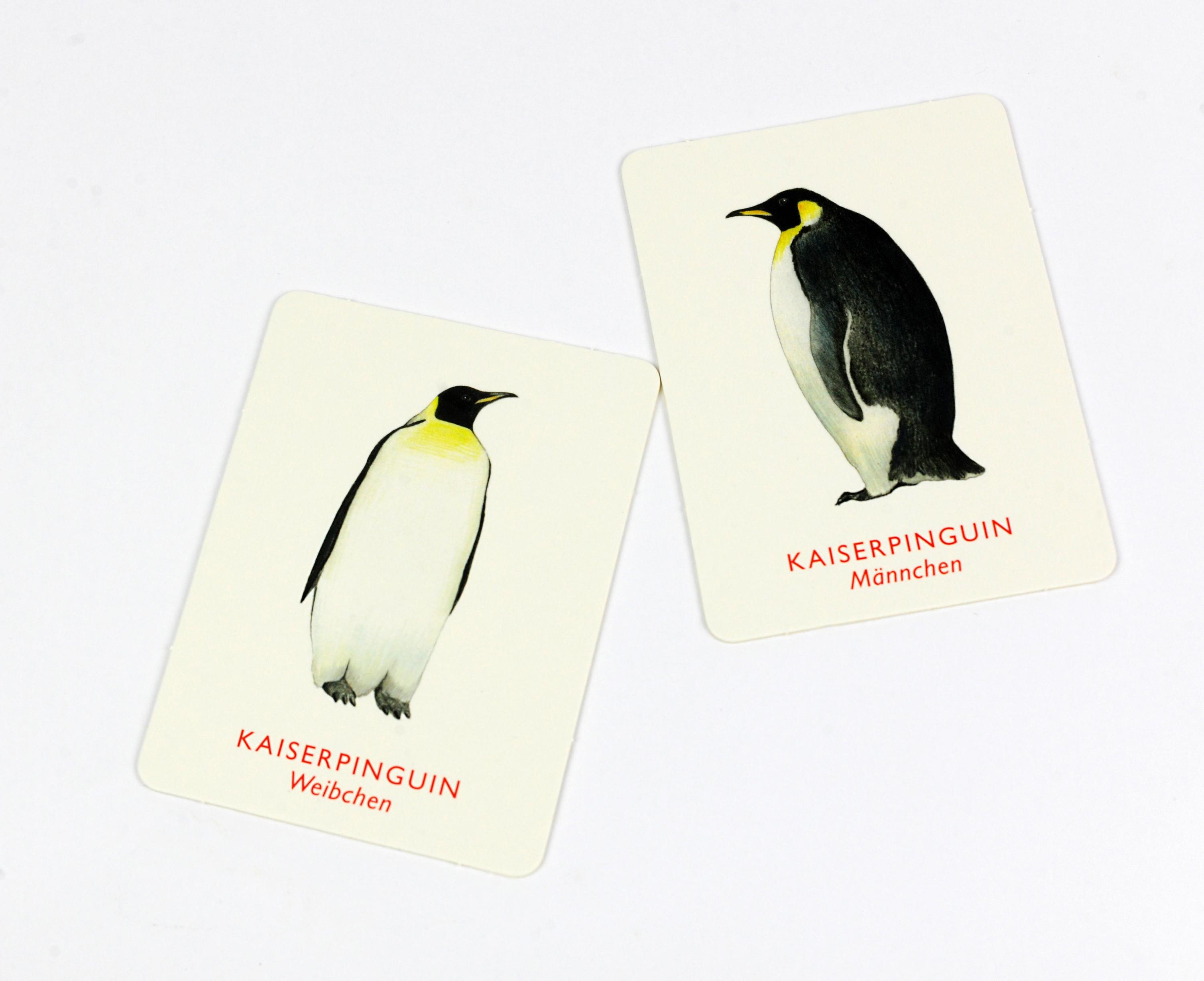 Vogelpaare (Spiel)