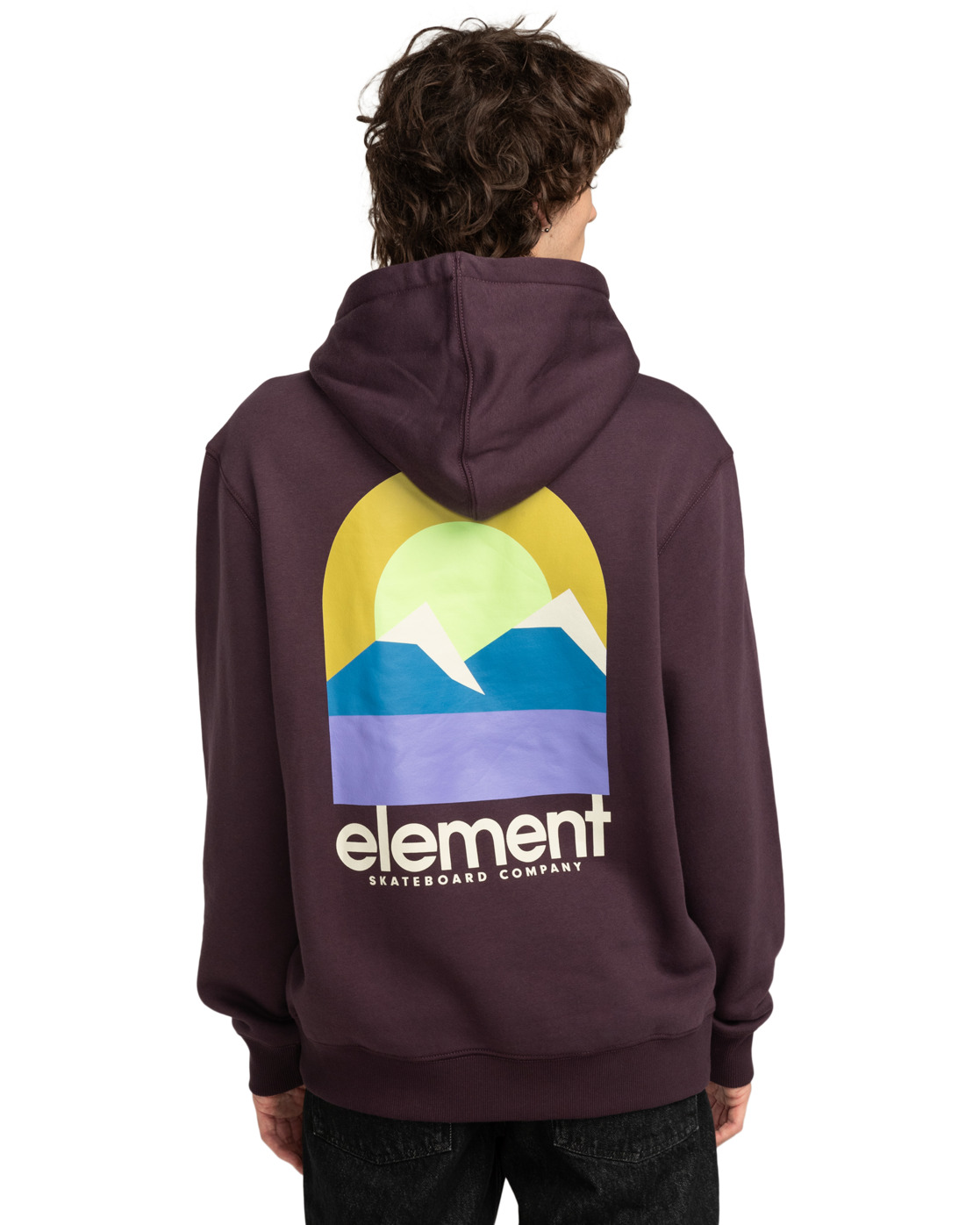 Element Halo Hoodie Plum Perfect