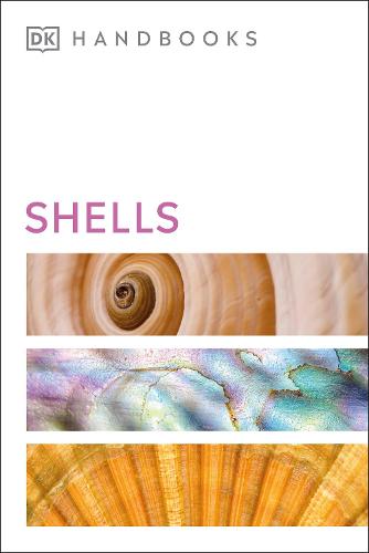 Shells - DK Handbooks (Paperback)