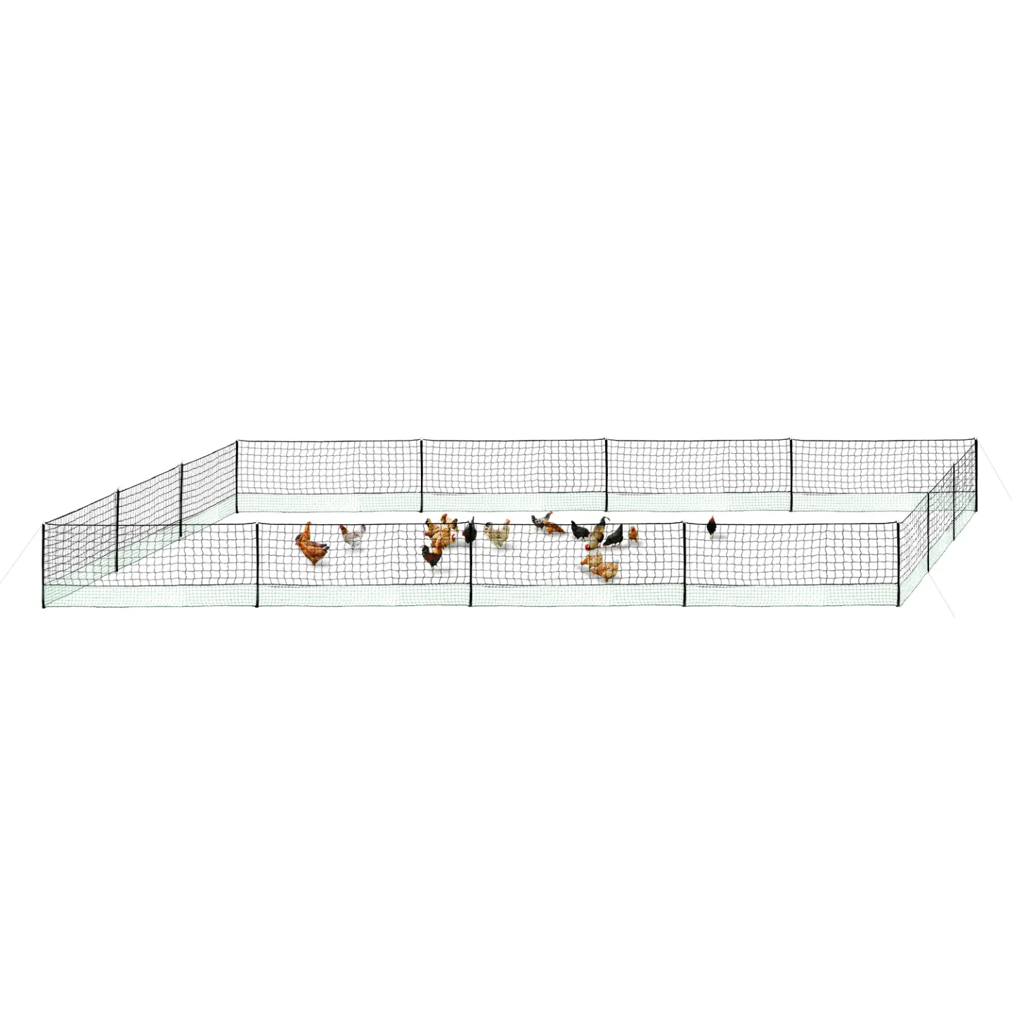 Kit clôture filet à poules 50 M avec porte 15 piquets double pointes