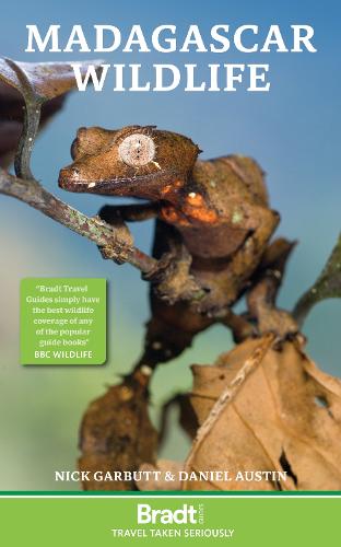 Madagascar Wildlife - Bradt Travel Guides (Wildlife Guides) (Paperback)