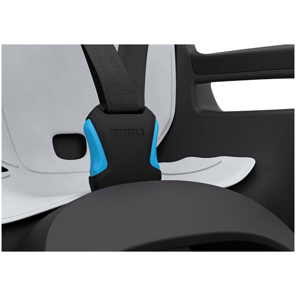 THULETHULE   RideAlong 2 Rahmenmontage dark grey