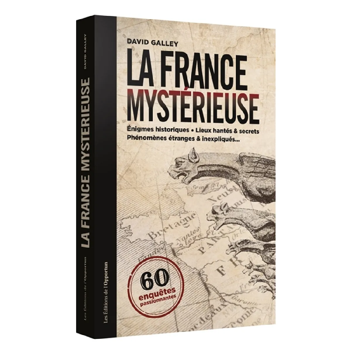 La France mystérieuse : 60 enquêtes passionnantes : énigmes historiques, lieux hantés & secrets, phénomènes étranges & inexpliqués... · Occasion