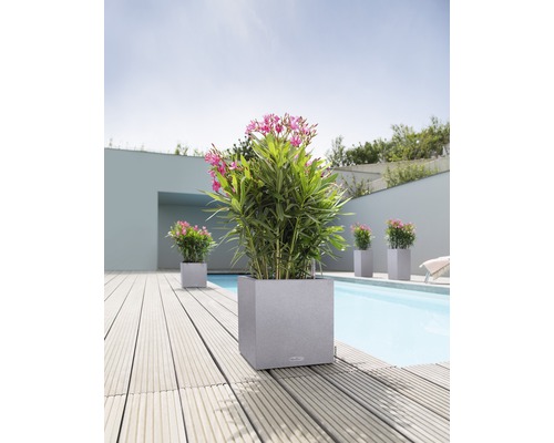 Lechuza Canto Stone plantenbak 40 x 40 x H 40 cm grijs incl. zelfbewateringssysteem, plantenbak, substraat en waterniveau-indicator