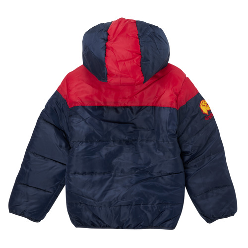 TEAM HEROES  - DOUDOUNE HARRY POTTER - Multicolore