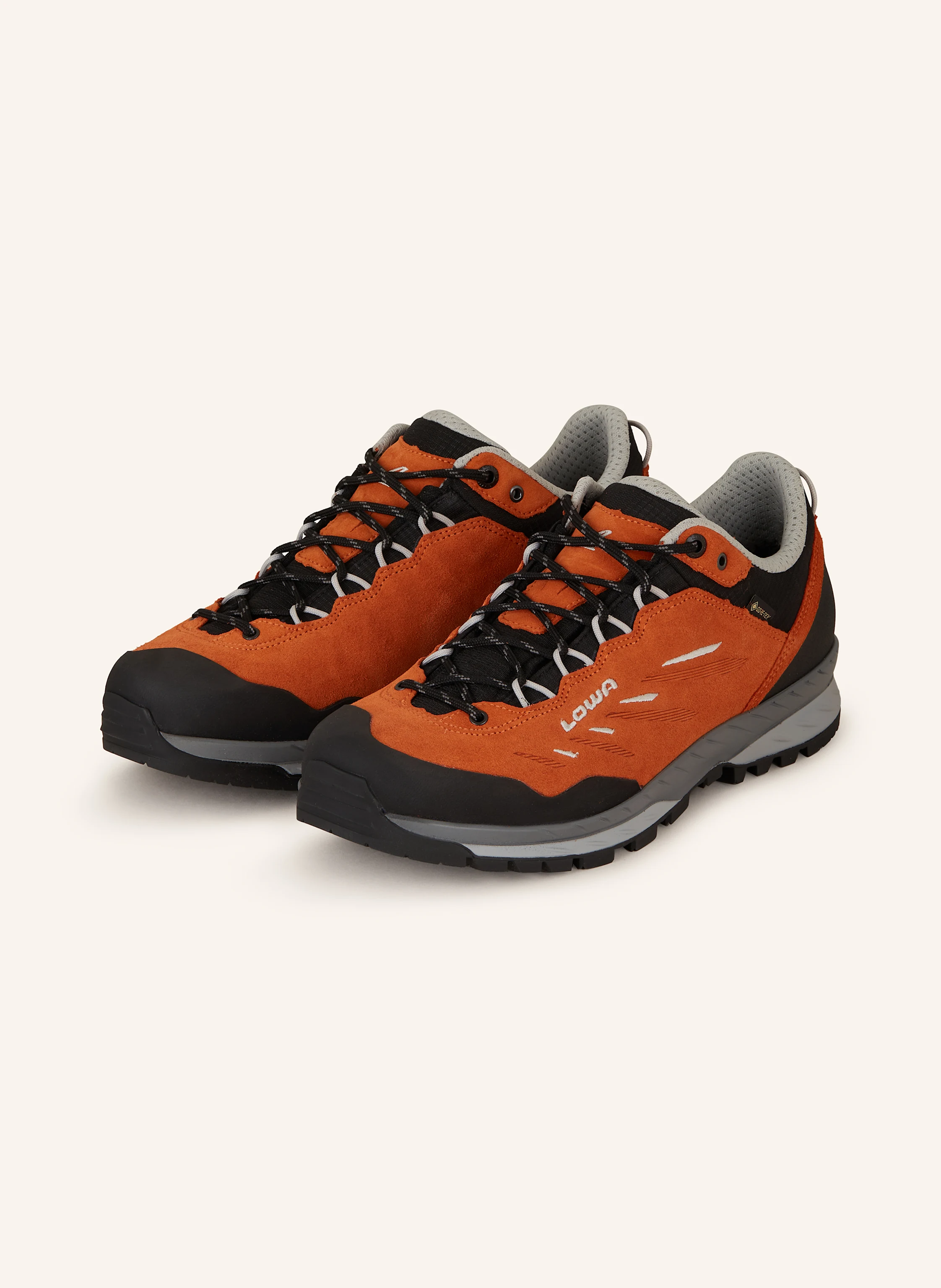 LOWA Wanderschuhe DELAGO GTX LO