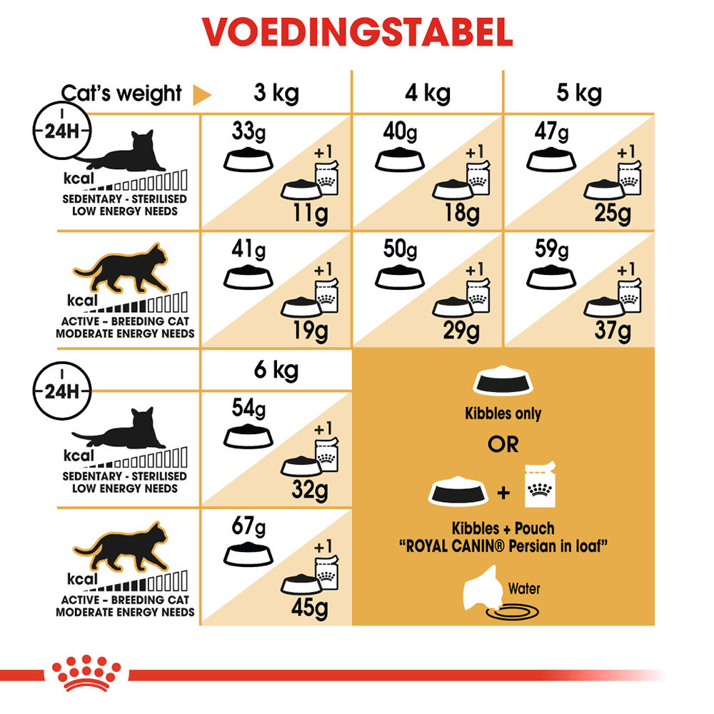 Royal Canin Persian Adult - Kattenvoer
