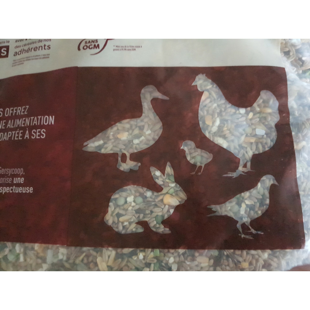 Mélange graines pour poules pondeuses 20 kg basse cour