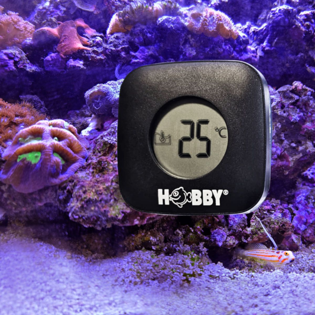 Hobby Clean Mag Thermo - Scheibenreiniger mit Thermometer