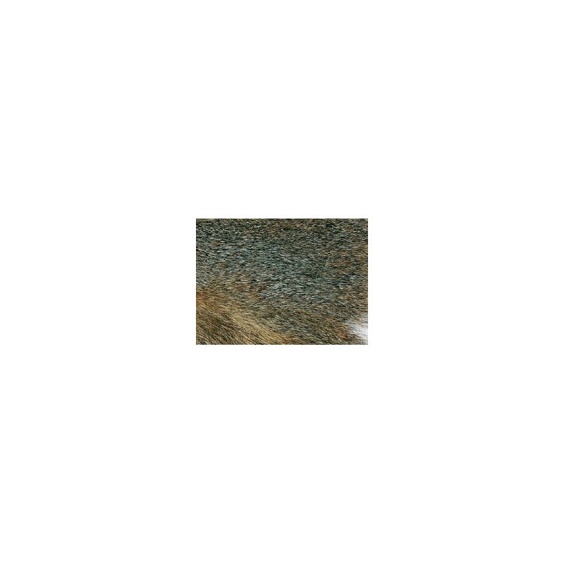 Ecureuil Jmc Gris Sur Peau