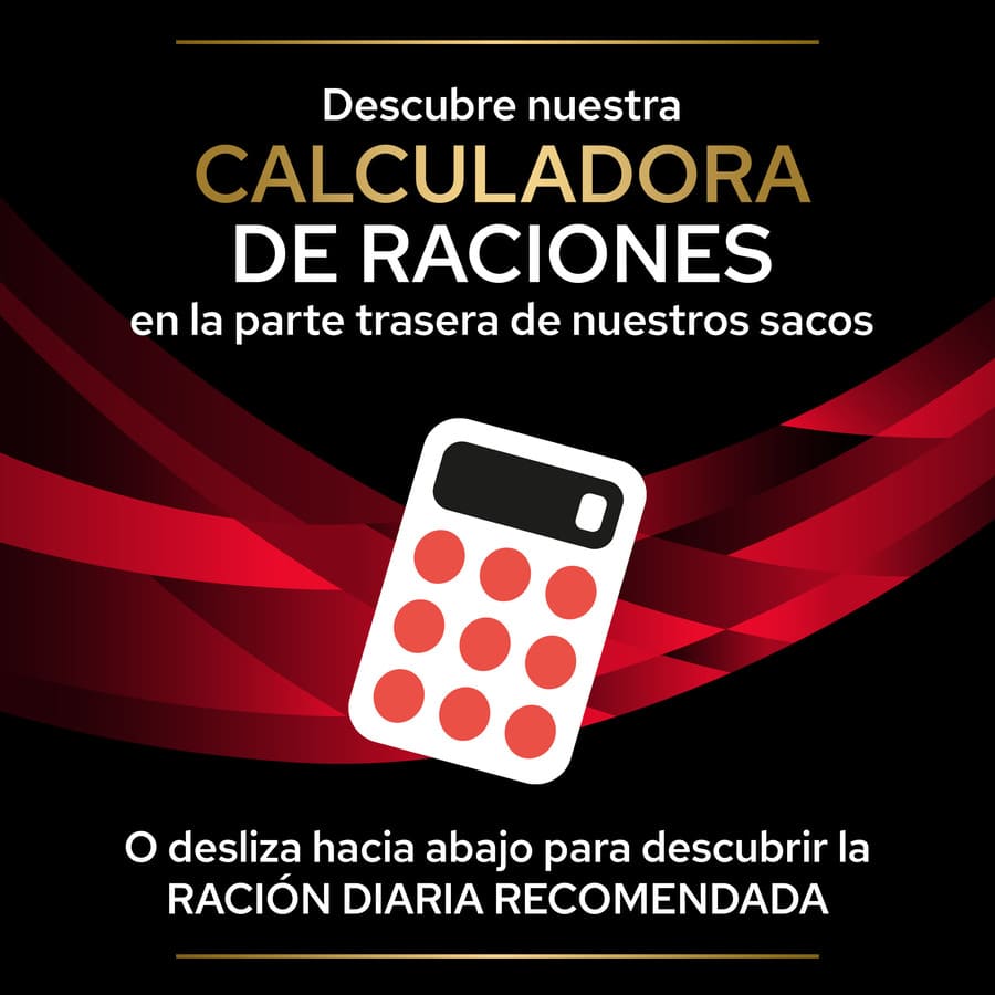 Pro Plan Veterinary Diets Diabetes Management - Ração para gatos
