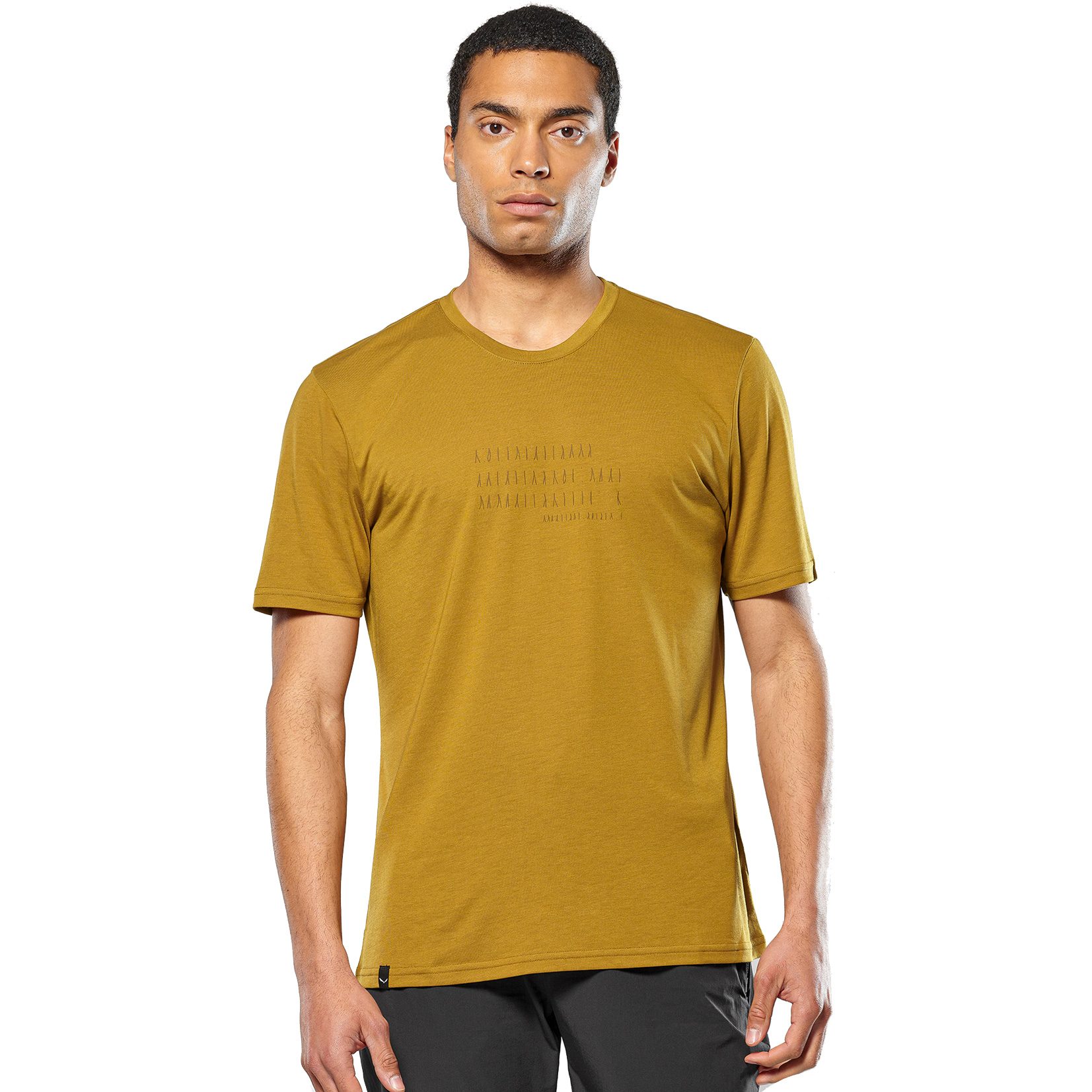 SALEWA Eagle Poem Dry T-Shirt Herren golden brown
