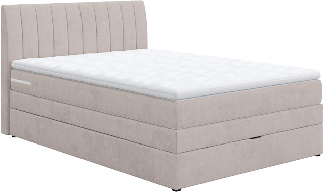 COTTA Boxspringbett »Shark inkl. Bettkasten und Topper« erhältlich in den Breiten 140x200cm, 160x200cm und 180x200cm
