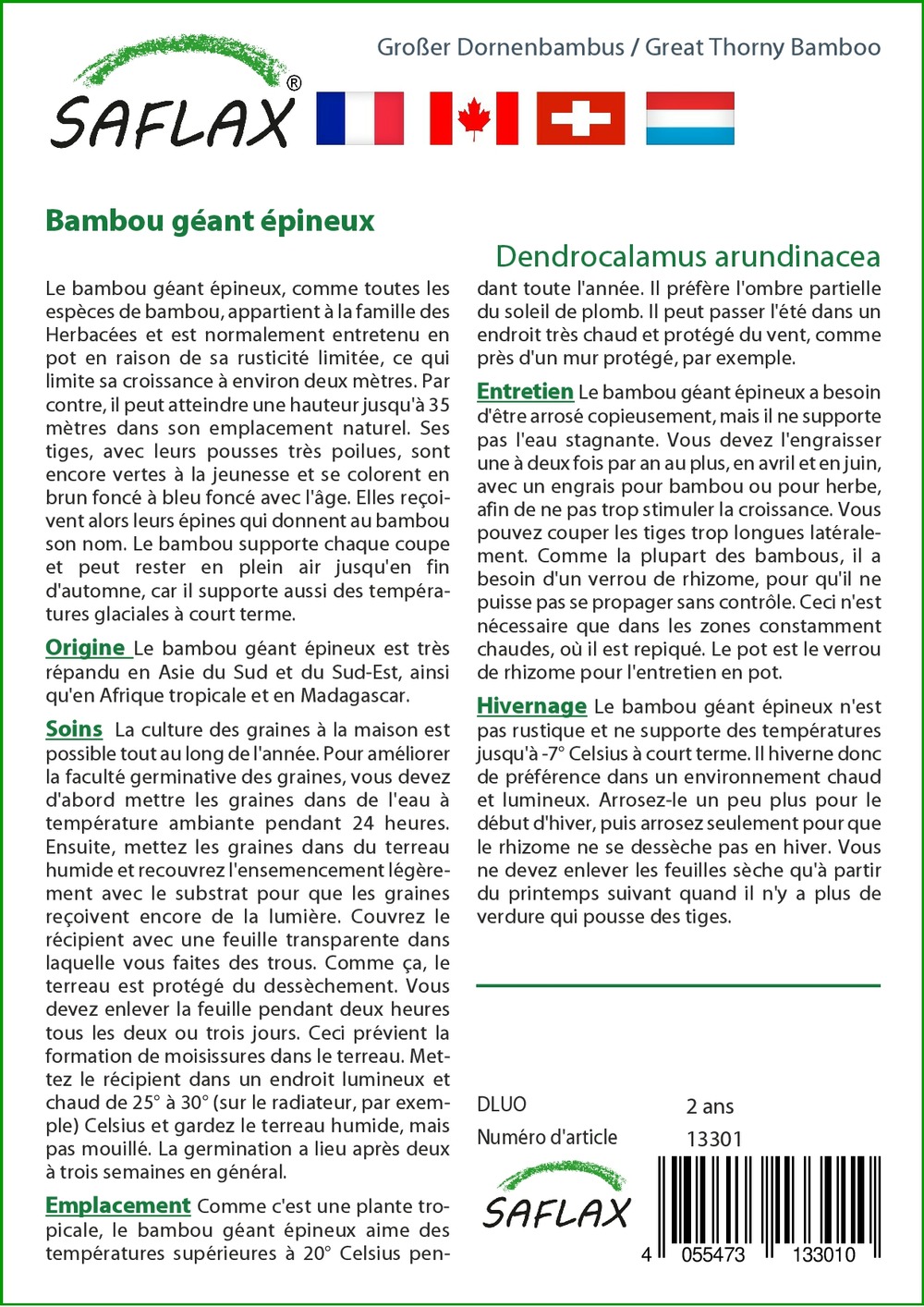 Kit cadeau - bambou géant épineux - 50 graines - dendrocalamus arundinacea
