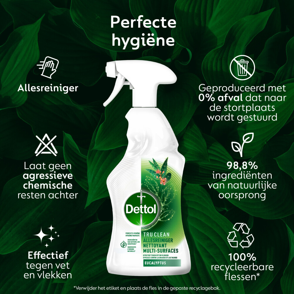 Dettol Allesreiniger Spray Eucalyptus500 ml