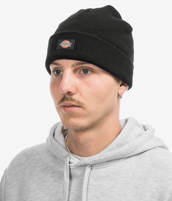 Dickies Gibsland Mütze (black)