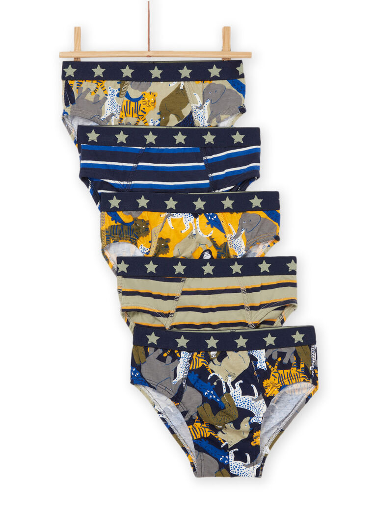 Lot de 5 slips assortis