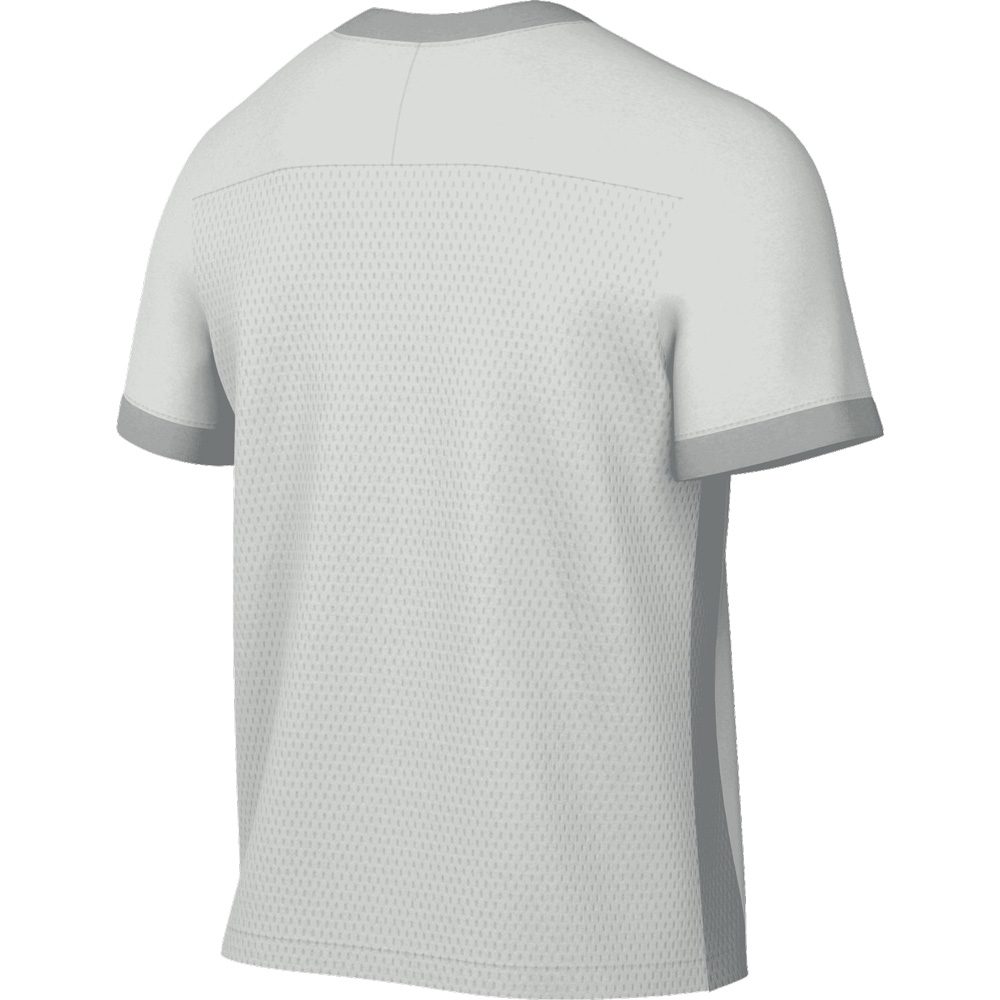 Nike Academy Dri-Fit Trikot Herren photon dust