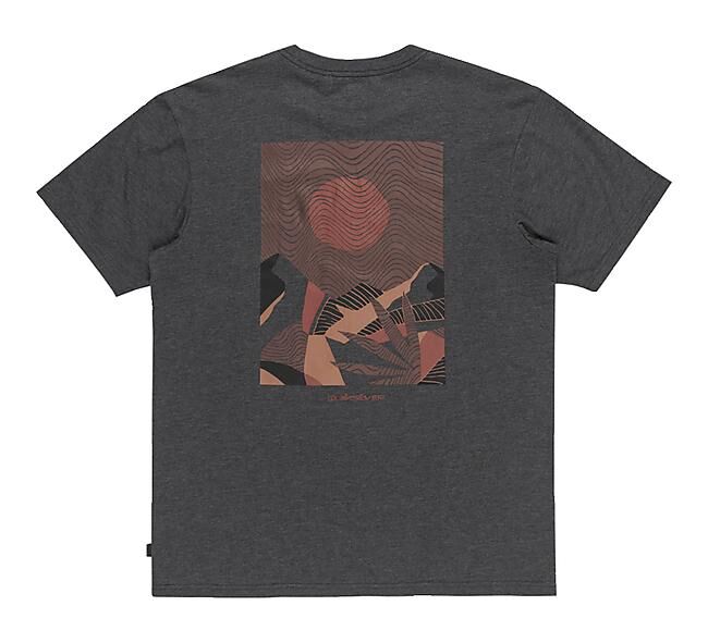QUIKSILVER - ABSTRACT NATURE