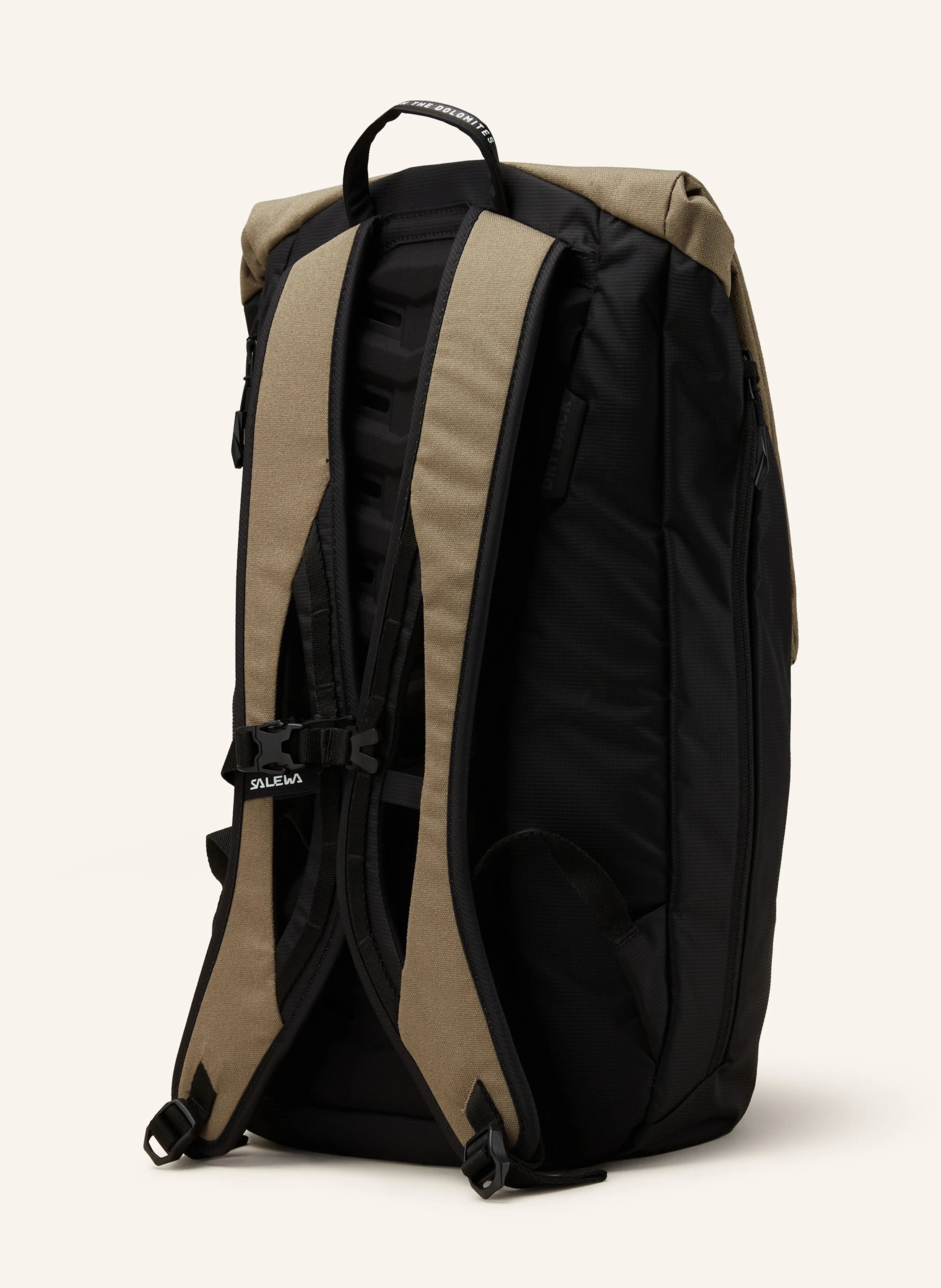 SALEWA Rucksack FANES 24 l mit Laptop-Fach