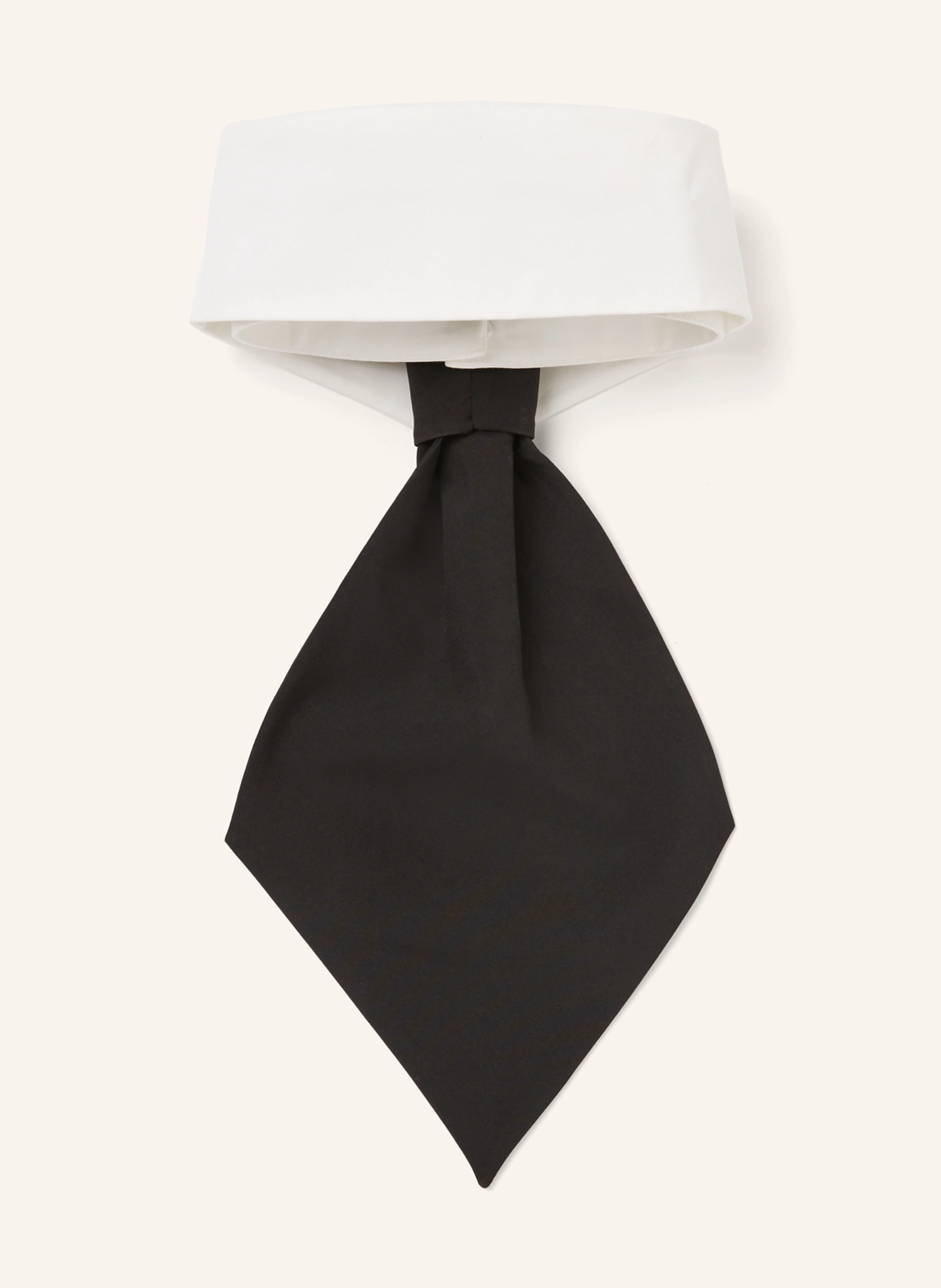 KARL LAGERFELD Kragen