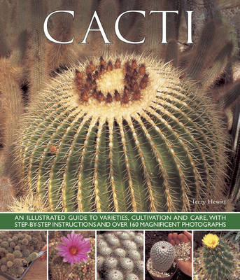 Cacti (Paperback)