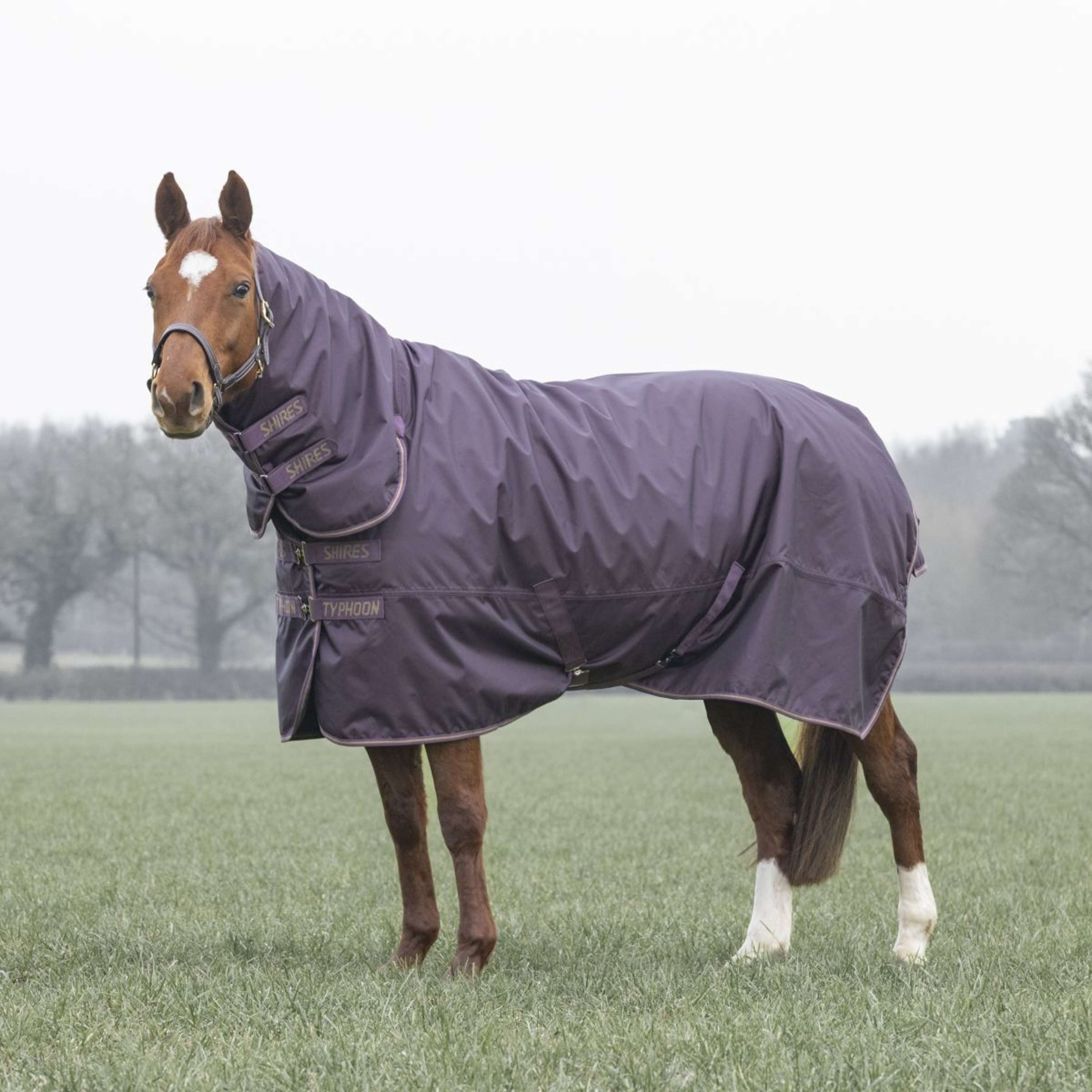 Tempest Winterdeken Turnout Typhoon 100g Black Cherry