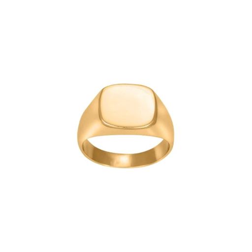 Son of Noa Signet Ring, Gold Plated, 60