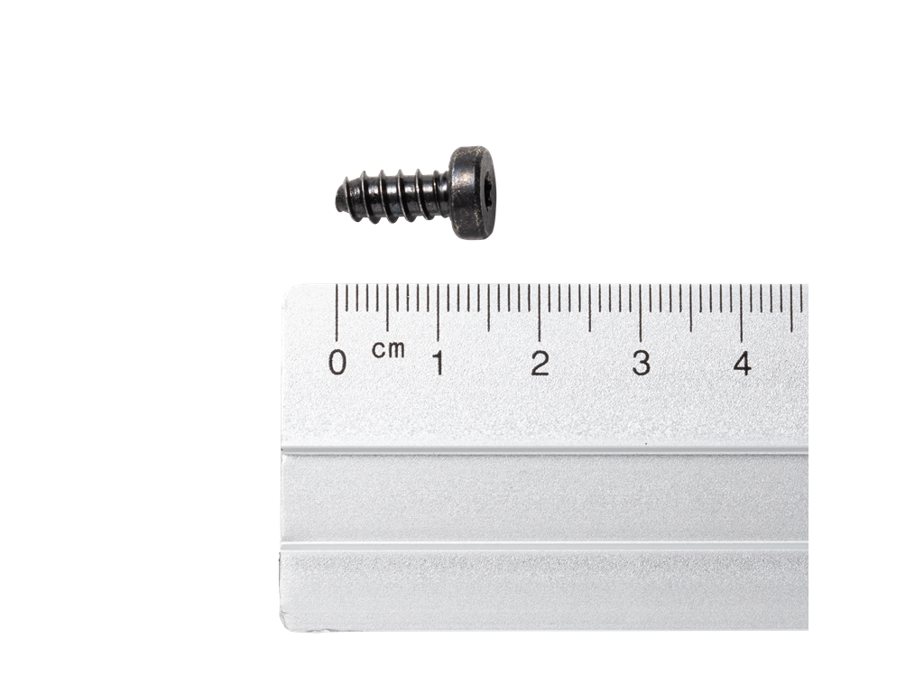 Dynafit Screw 15,5mm Torx 20