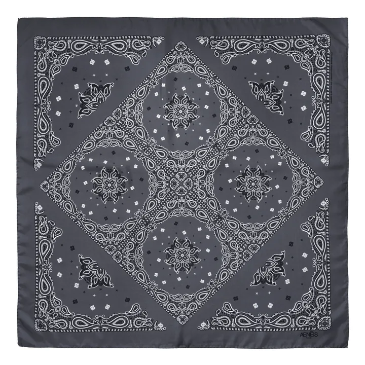 Aeneis Foulard en Soie Kaleido | Gris