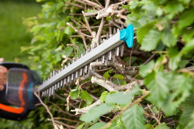 Gardena - PowerCut 700/65 - Elektrische Heggenschaar - 700W - Stalen Messen