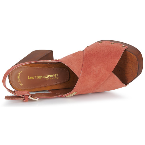 Les Tropéziennes par M Belarbi - TESSY - Terracota