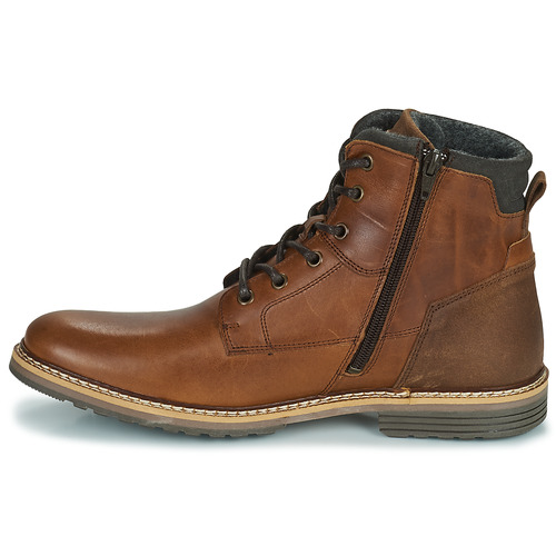 Bullboxer - ACONA - Marron