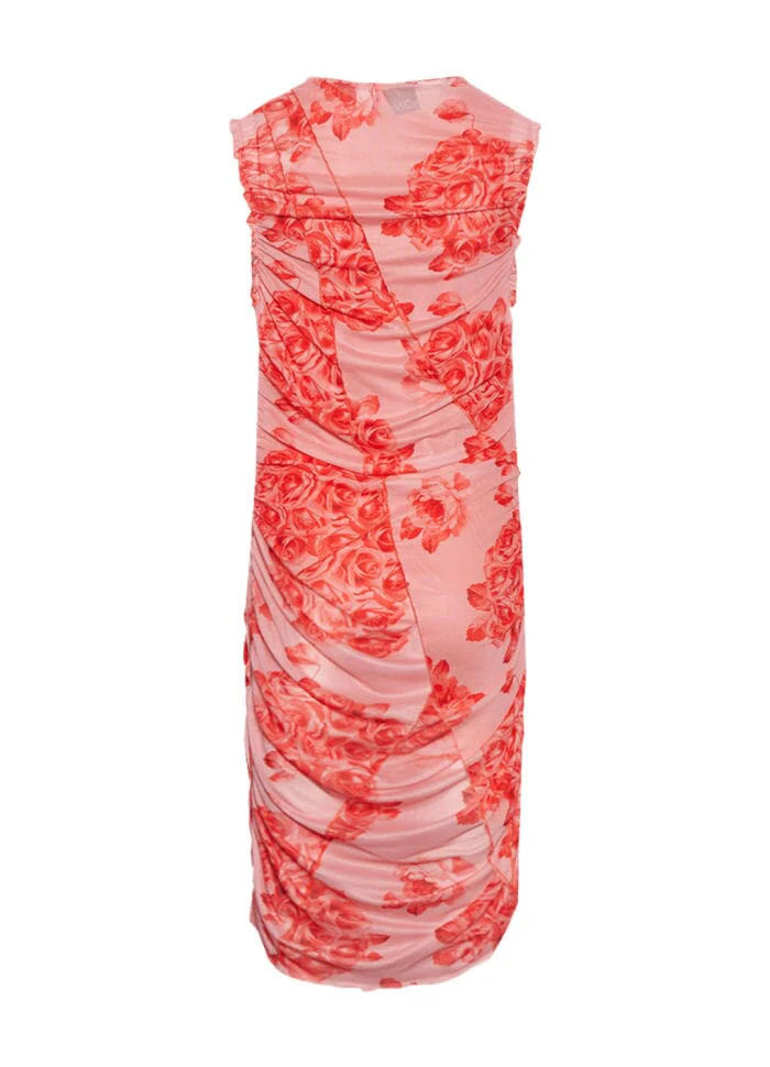 Noella Sutton Short Dress 486 rose print