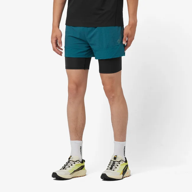 SENSE AERO 2IN1  Shorts Herren
