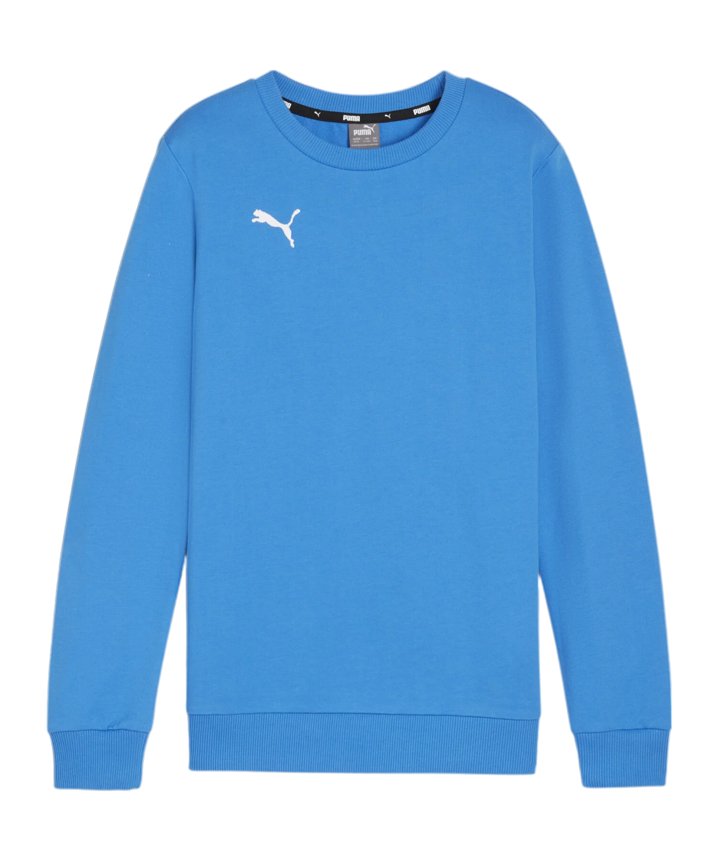 PUMA teamGOAL Casuals Sweatshirt Kids Blau F02