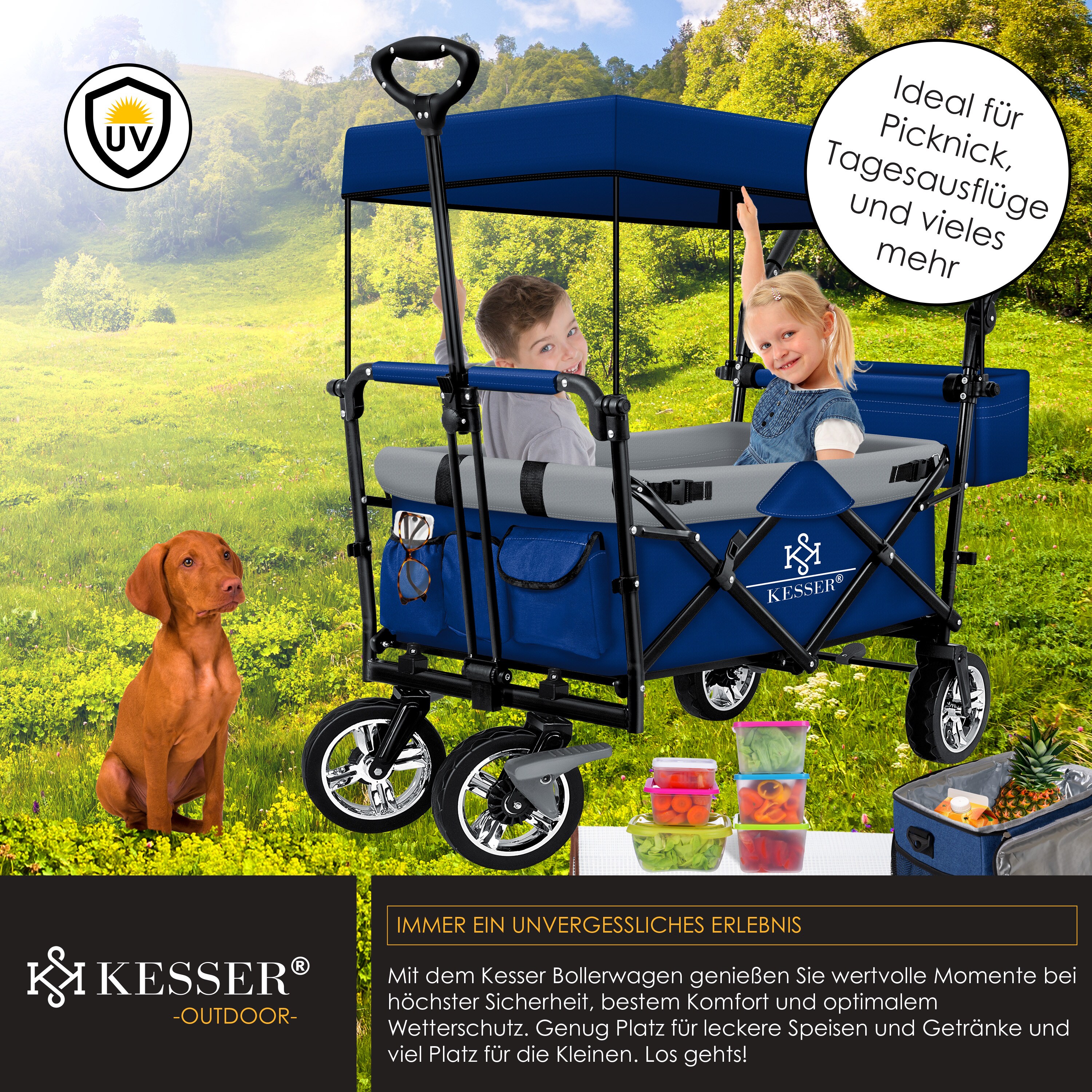KESSER® Bollerwagen faltbar GT9000 mit Dach Handwagen Transportwagen | inkl. 2x 3-Punkt Gurtsystem| klappbar | Vollgummi-Reifen | bis 80 kg | Vorder- und Hinter-Bremse | + Tragetasche