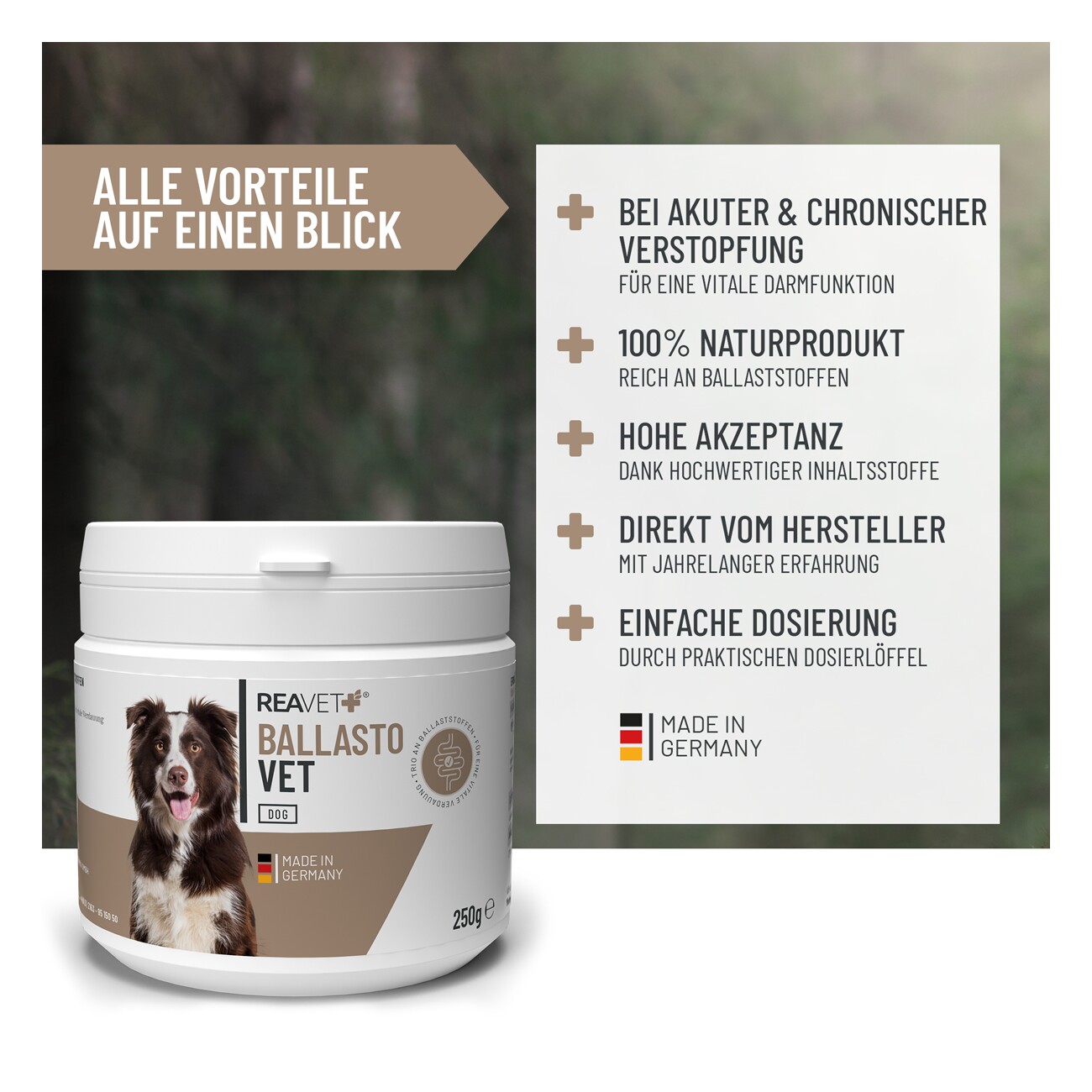REAVET BallastoVET 250g