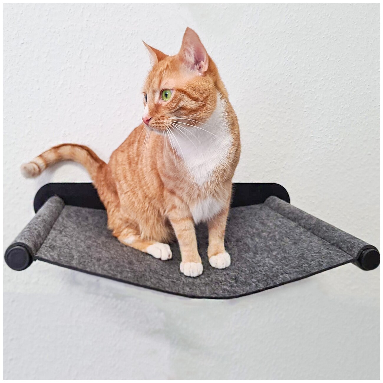 Canadian Cat Company Filz-Hängematte für die Wand