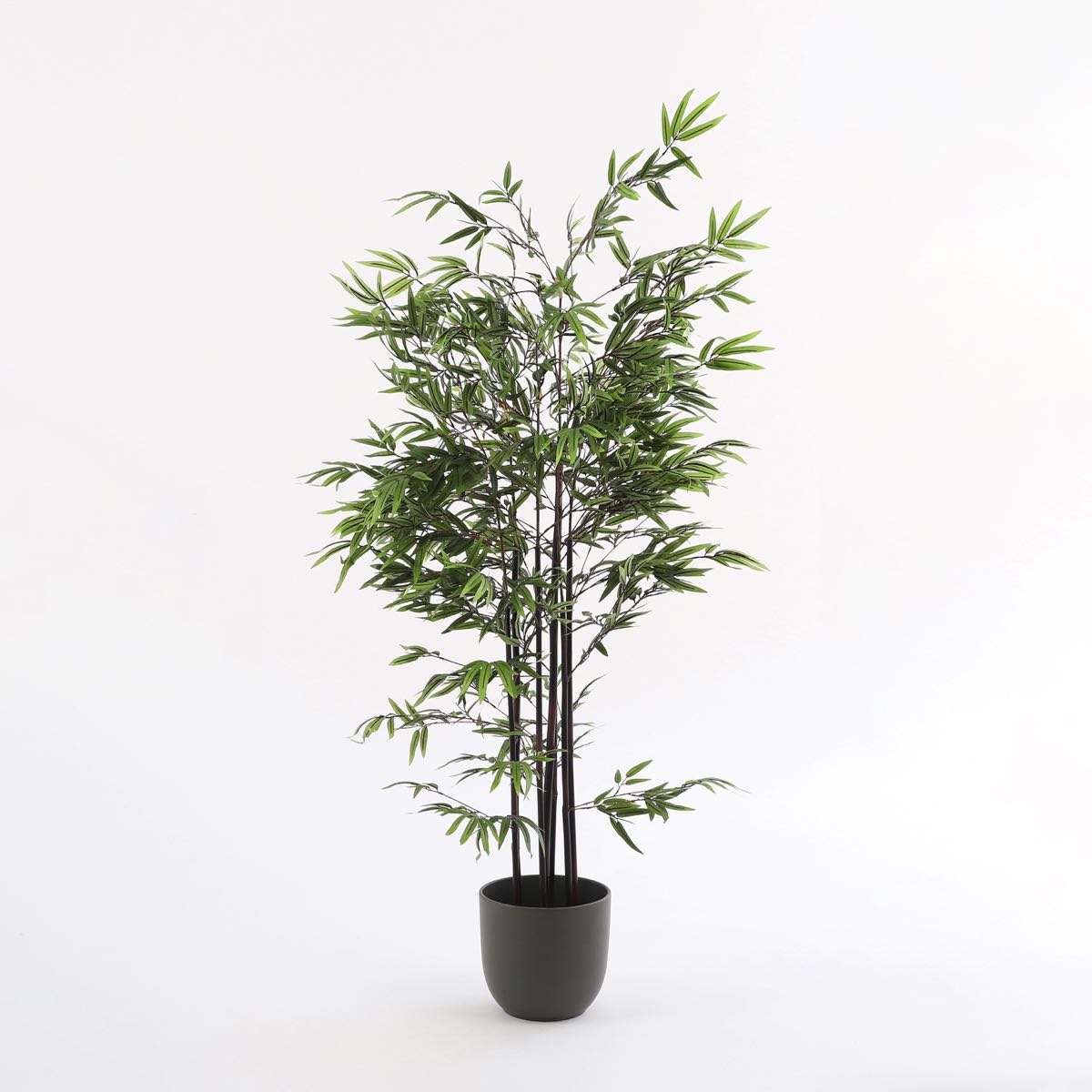 Mica decorations bambou h150 vert avec tribus noires
