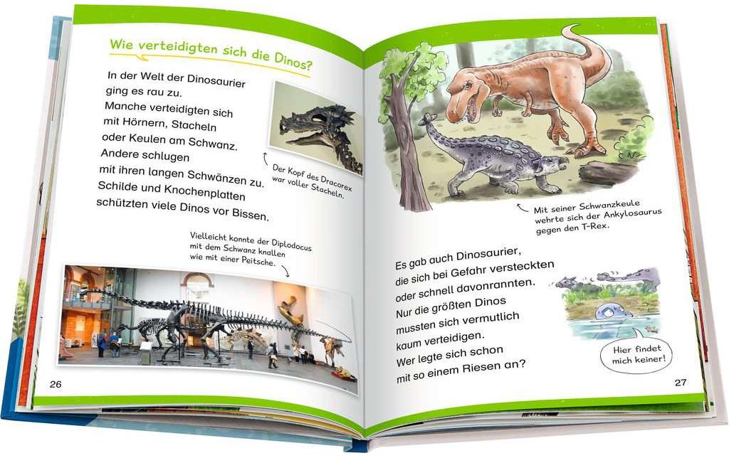 Kinder-Sachbuch WWW Erstleser: Dinosaurier Band 1Spielerisch lesen lernen