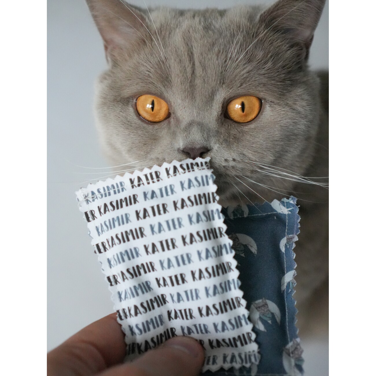 Kater Kasimir Katzenminze Spielkissen (4er Set) aus BIO-Baumwolle