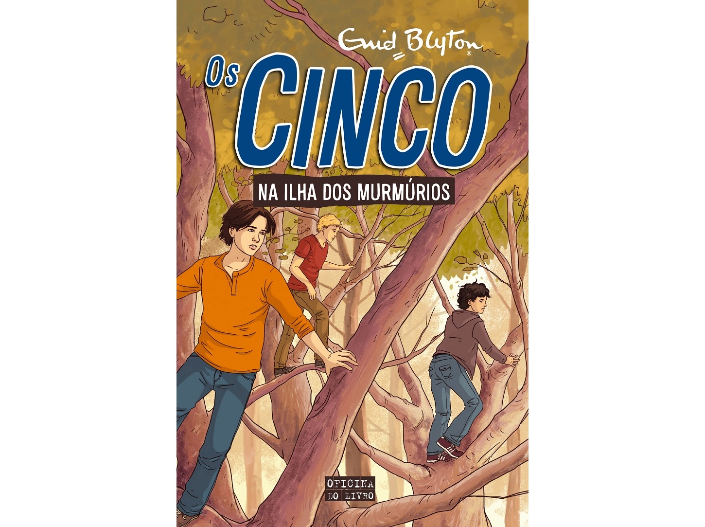 LIVRO OS CINCO N20 NA ILHA DOS MURMURIOS